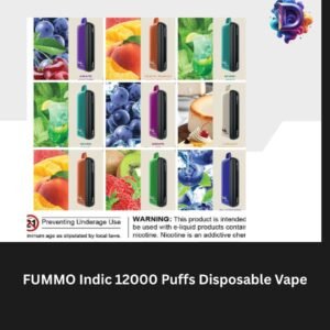 FUMMO Indic 12000 Puffs