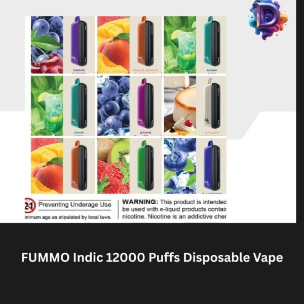 FUMMO Indic 12000 Puffs