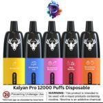 Kalyan Pro 12000 Puffs