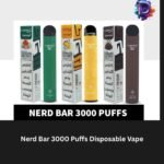 Nerd Bar 3000 Puffs
