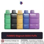 FUMMO Magnum 8000 Puffs