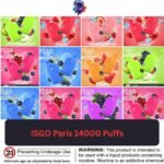ISGO Paris 14000 Puffs